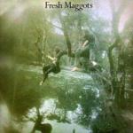 Fresh Maggots