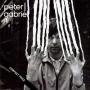 Peter Gabriel 2